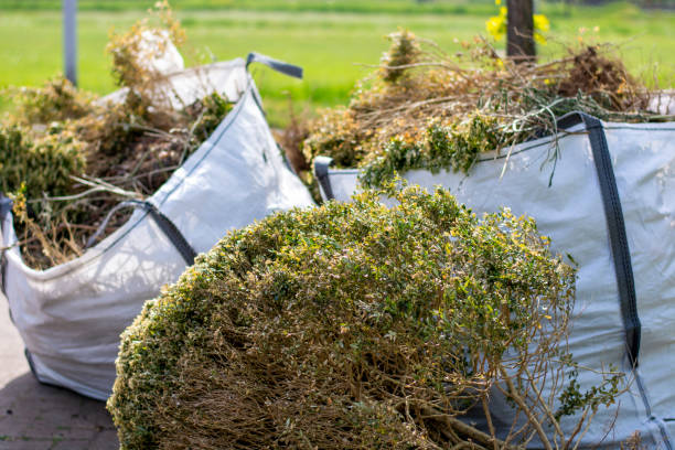 Best Carpet Removal and Disposal  in Kgsford Heights, IN