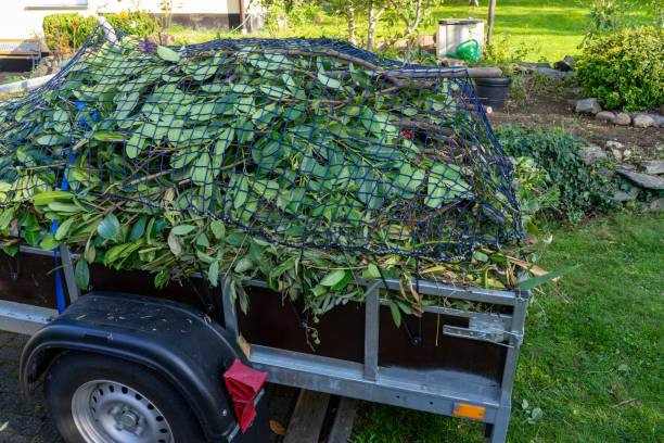 Best Estate Cleanout  in Kgsford Heights, IN